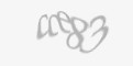 FORM_CAPTCHA