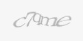FORM_CAPTCHA
