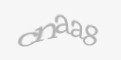 FORM_CAPTCHA