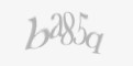 FORM_CAPTCHA