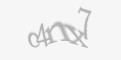 FORM_CAPTCHA