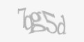FORM_CAPTCHA