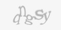 FORM_CAPTCHA