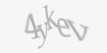 FORM_CAPTCHA