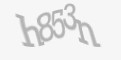 FORM_CAPTCHA