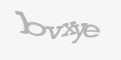 FORM_CAPTCHA