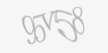 FORM_CAPTCHA
