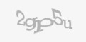 FORM_CAPTCHA