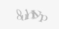 FORM_CAPTCHA