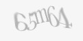 FORM_CAPTCHA