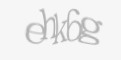 FORM_CAPTCHA