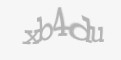 FORM_CAPTCHA