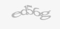 FORM_CAPTCHA