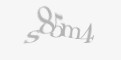 FORM_CAPTCHA